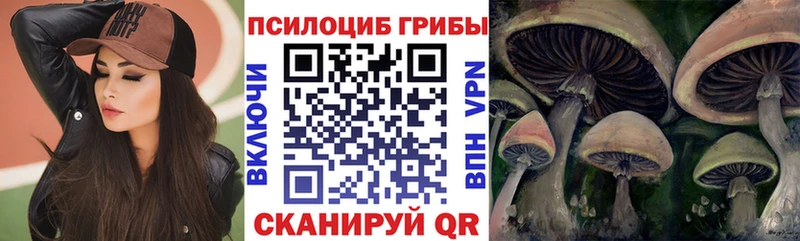 Псилоцибиновые грибы ЛСД  Бакал 
