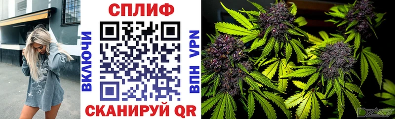 blacksprut ссылки  Бакал  Каннабис тримм 